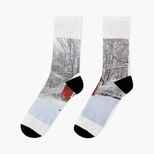 Item preview, Beautiful Wisconsin winter nature background. designed and sold by Maryna Gumenyuk.