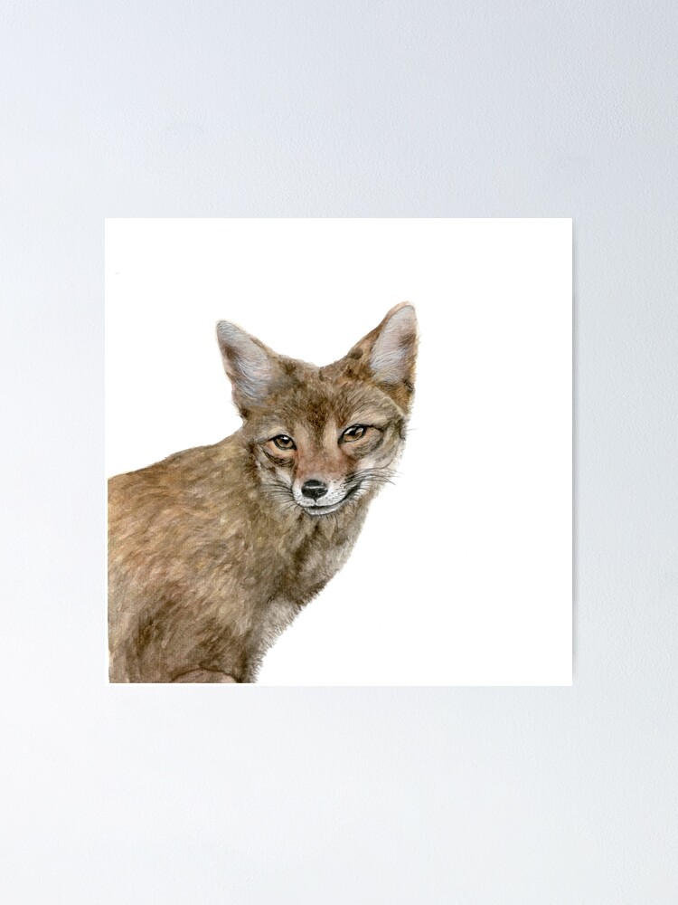 "Squeak Fox" Poster for Sale by ArtMelly Redbubble
