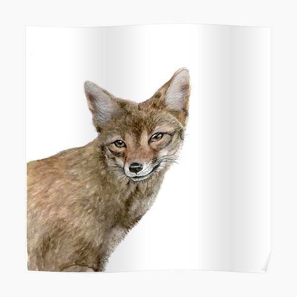 "Squeak Fox" Poster for Sale by ArtMelly Redbubble