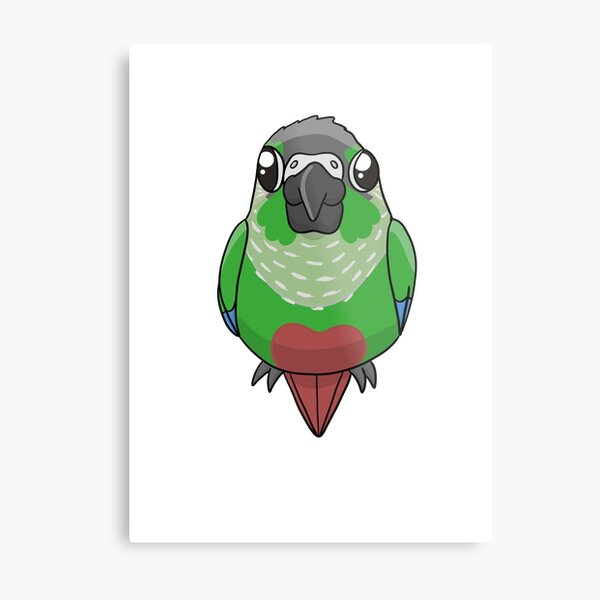 Baby Green Cheek Conure Metal Print