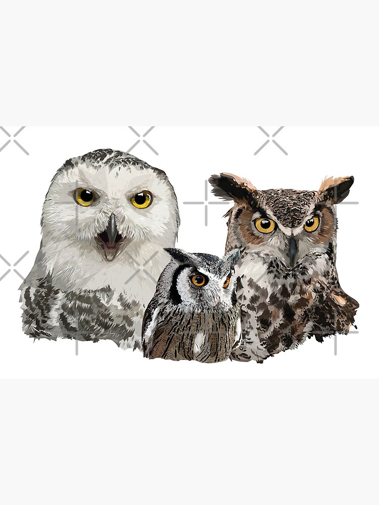 Discover Scops owl and owls Bath Mat