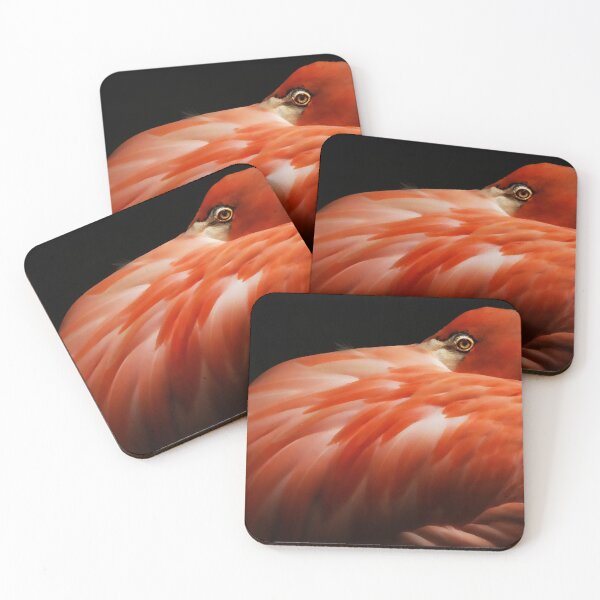 Artikelvorschau, Flamingo entworfen und verkauft von RobynCarter.