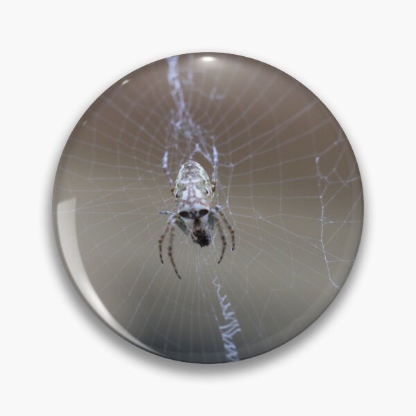 Item preview, Little Spider designed and sold by Geoff Treagus.