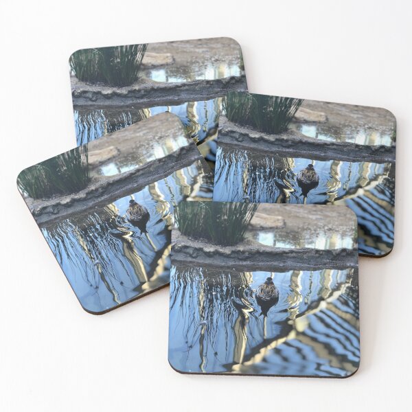Item preview, Monterey Aquarium designed and sold by Amber Niles.