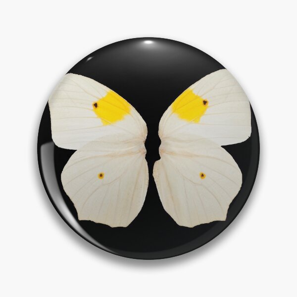 Item preview, White Angled-Sulphur Anteos clorinde Wings designed and sold by CaelanPride.