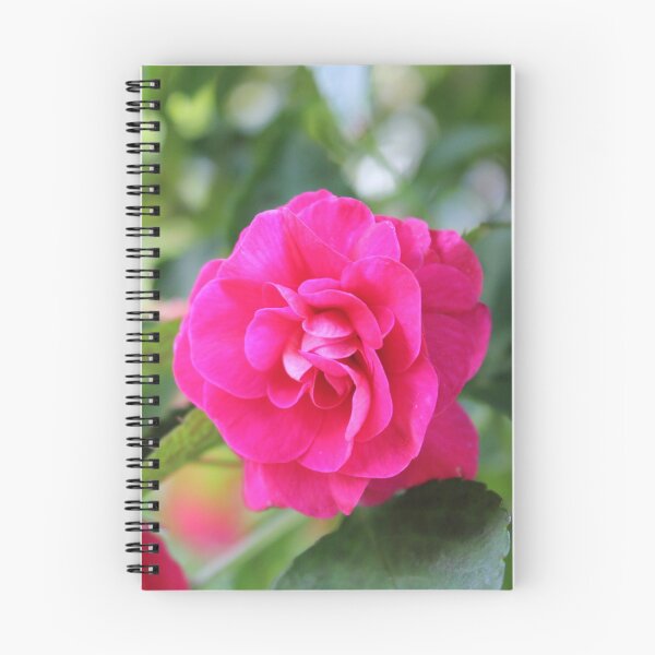 Artikelvorschau, Hübsche rosa Blume im Garten entworfen und verkauft von stina-bee.
