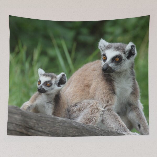 Item preview, Lemur catta designed and sold by Mythos57.