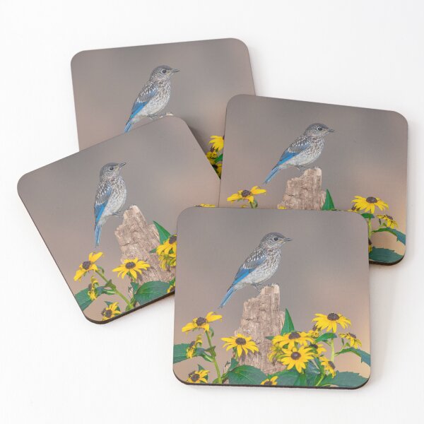Item preview, Eastern Bluebird and Black-eyed Susan designed and sold by (Tallow) Dave  Van de Laar.
