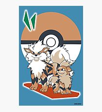 Pokemon Growlithe & Arcanine Photographic Print