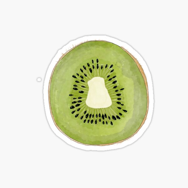 Waterproof Sticker Dishwasher Safe Sticker Watercolor Kiwi Matte Vinyl