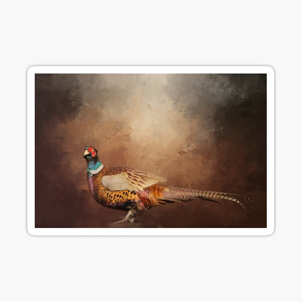 Item preview, Handsome Common Pheasant designed and sold by Elisabeth Lucas.
