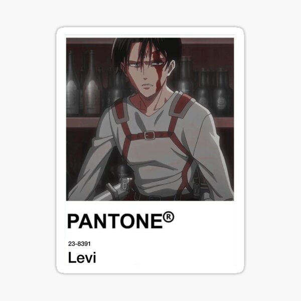 Levi Pantone Sticker Sticker