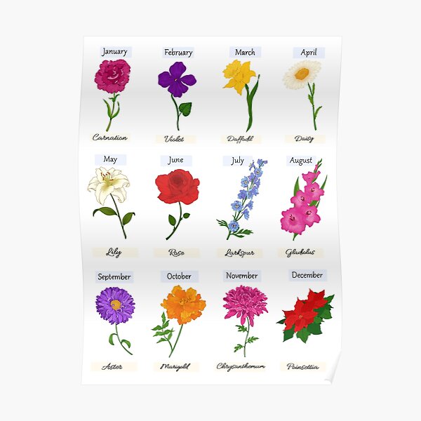 Birth Flowers Posters For Sale | Redbubble