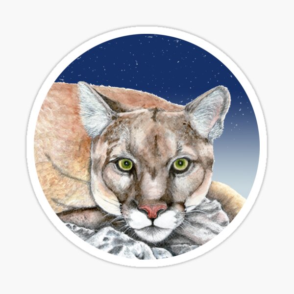Vista previa del artículo con la obra «Puma nocturno», diseñado y vendido por ArtMelly.