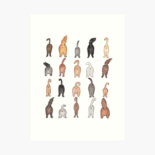 Cat butts Art Print