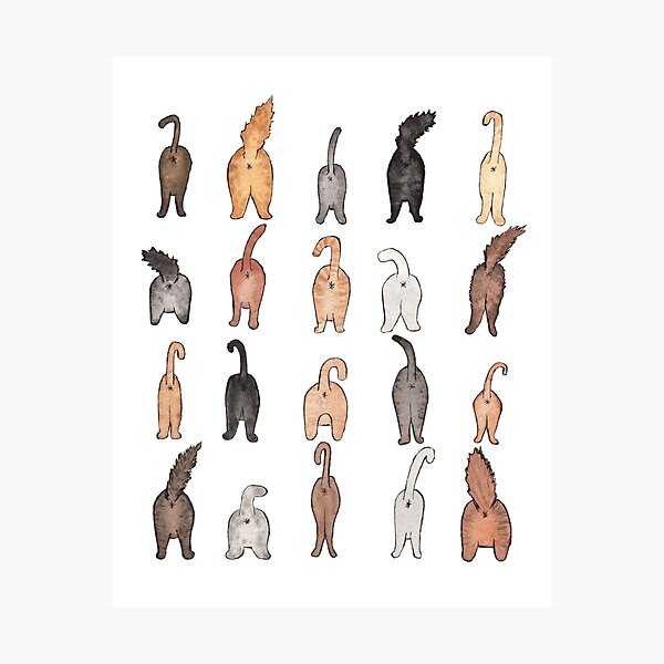 Item preview, Cat butts designed and sold by barbarashain.