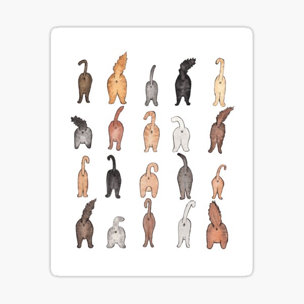 Cat Butts Sticker For Sale By Barbarashain Redbubble