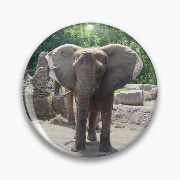Artikelvorschau, Afrikanischer Elefant entworfen und verkauft von priesterjen.