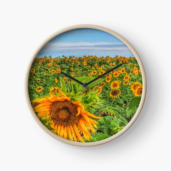 Sommer Ganseblumchenfeld Uhr Von Tammyschroder Redbubble