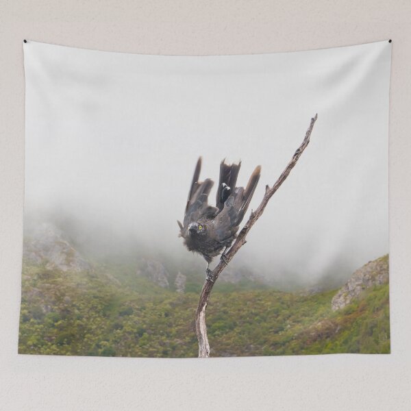Item preview, Pied Currawong at Cradle Mountain. designed and sold by Alex Preiss.