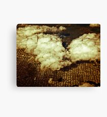 Hovering Canvas Print