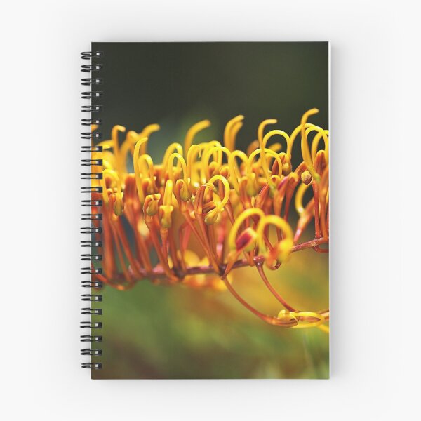 Item preview, Grevillea  Robusta, Silky Oak designed and sold by Joy Watson - Natural Light Photography .