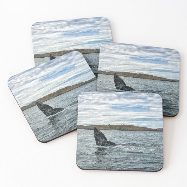 Item preview, Gray Whale Tail In Mexico designed and sold by tammyschroder.