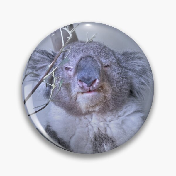 Item preview, Koala designed and sold by Alex Preiss.