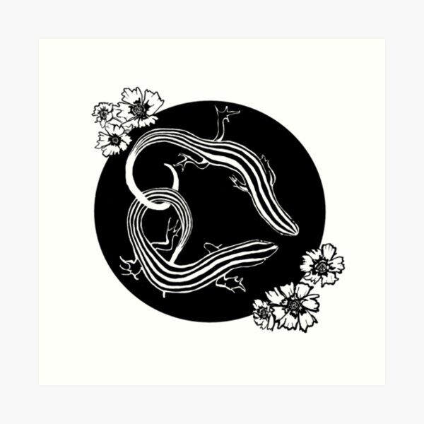 Skink and coreopsis Art Print