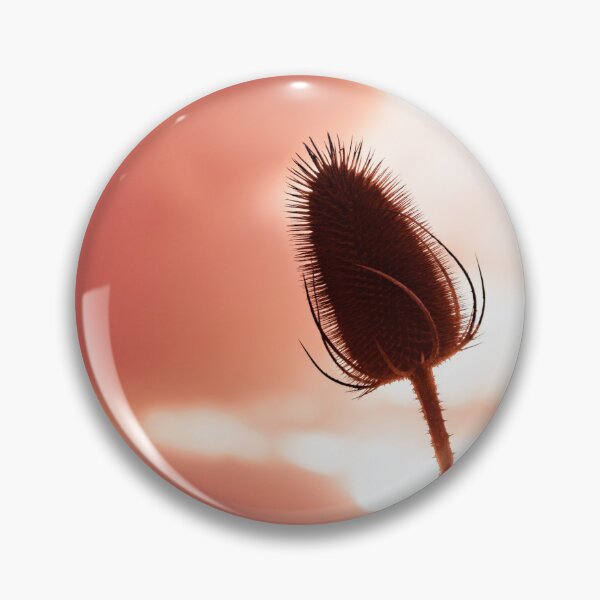 Item preview, Dried thistle, sunset designed and sold by Stéphane  Thirion.
