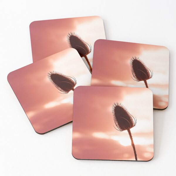 Item preview, Dried thistle, sunset designed and sold by Stéphane  Thirion.
