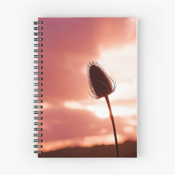 Item preview, Dried thistle, sunset designed and sold by Stéphane  Thirion.