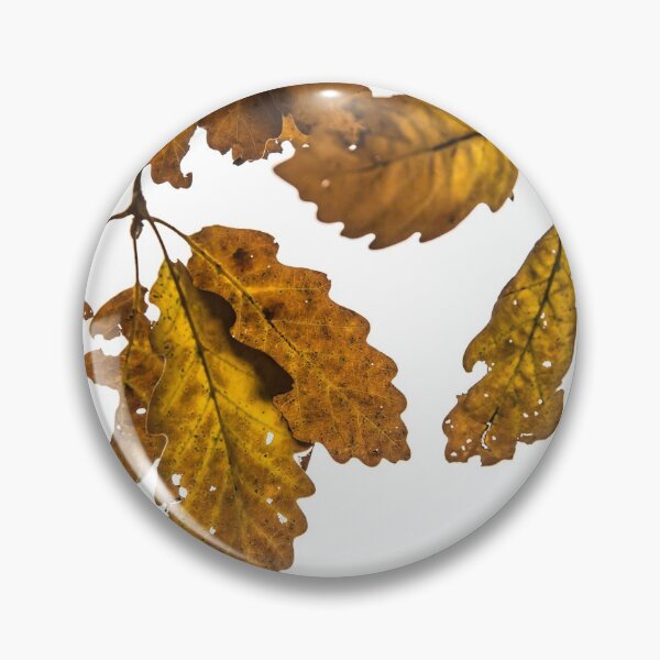 Item preview, Oak leaf, tree foliage designed and sold by Stéphane  Thirion.