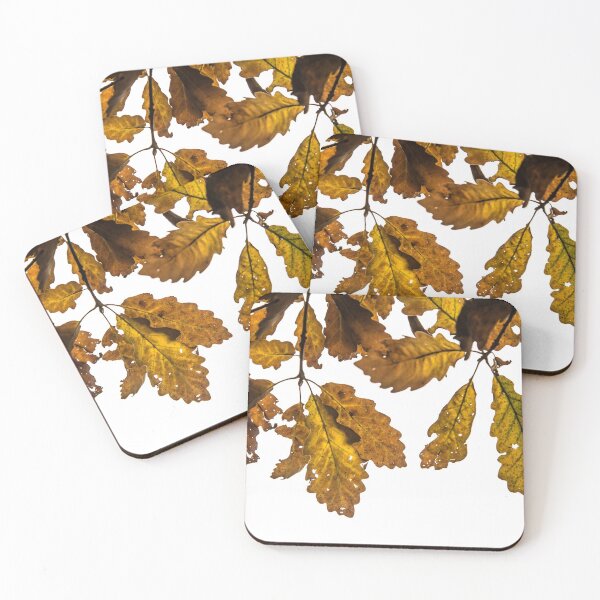 Item preview, Oak leaf, tree foliage designed and sold by Stéphane  Thirion.