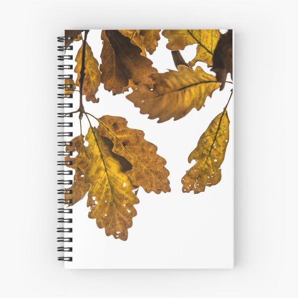 Item preview, Oak leaf, tree foliage designed and sold by Stéphane  Thirion.