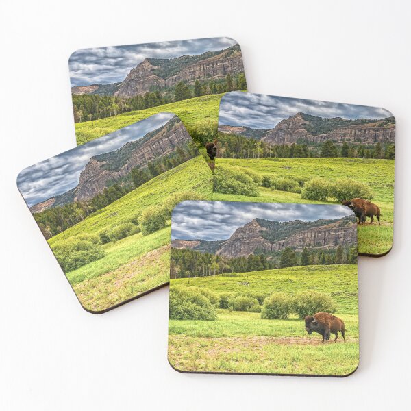 Item preview, Bison in Yellowstone designed and sold by GestaltImagery.