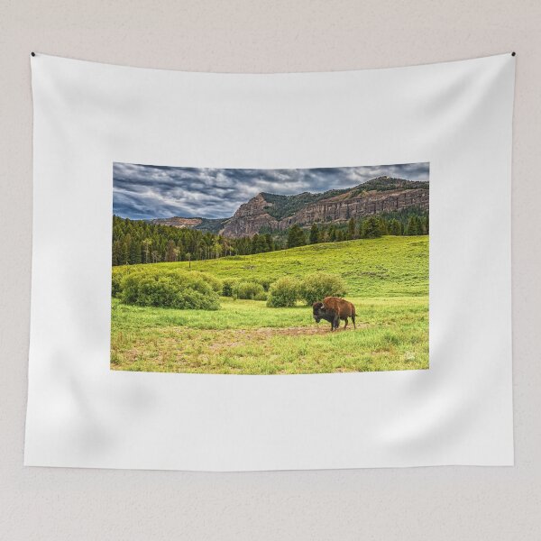 Item preview, Bison in Yellowstone designed and sold by GestaltImagery.