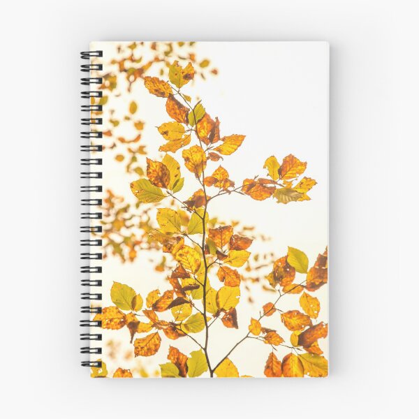 Item preview, Leaves of trees in autumn (nature photo) designed and sold by Stéphane  Thirion.