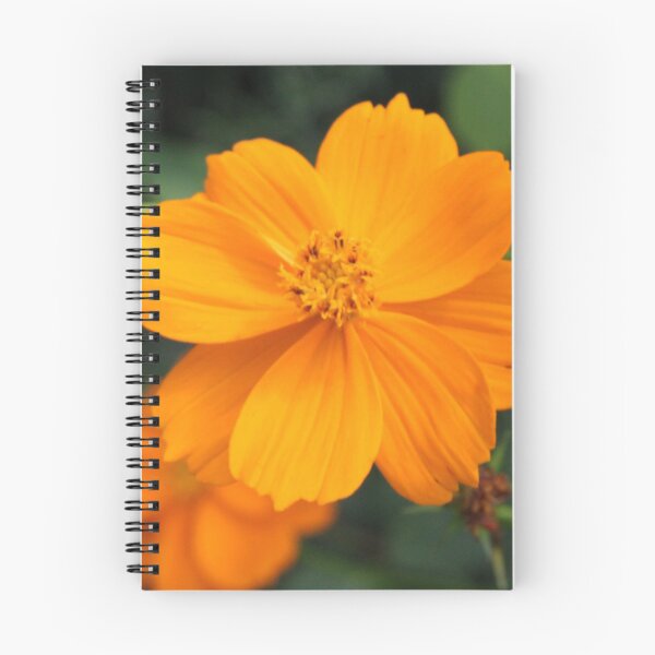 Item preview, North Carolina Photography designed and sold by Shockzedits.