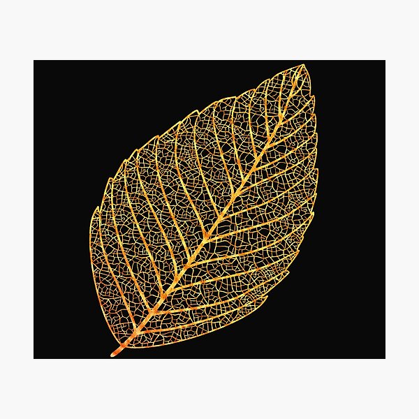 Item preview, Copy of Dry leaves designed and sold by Albaley.