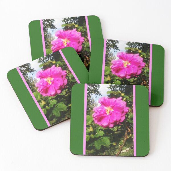 Item preview, Flor fucsia, fotografía de naturaleza colorida de Courtney Hatcher designed and sold by cghatcherart.