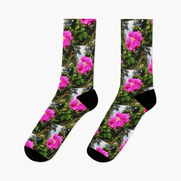 Item preview, Fuchsia Flower, Colorful Nature Photography by Courtney Hatcher designed and sold by cghatcherart.