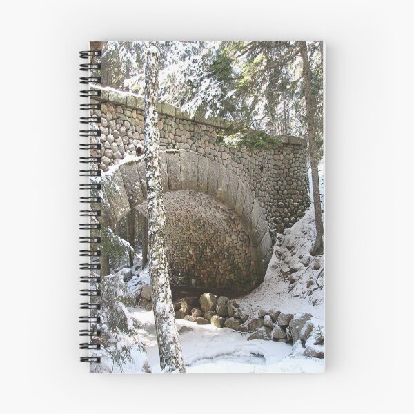 Item preview, Carriage road bridge in winter designed and sold by Dubage603.