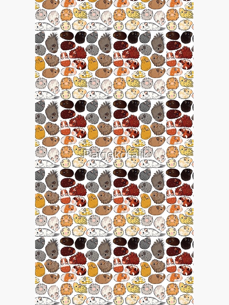 Guinea Pig Gradient by Paigekotalik