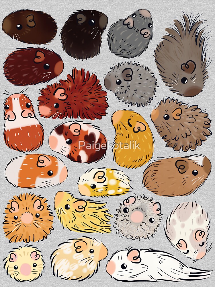 Guinea Pig Gradient by Paigekotalik