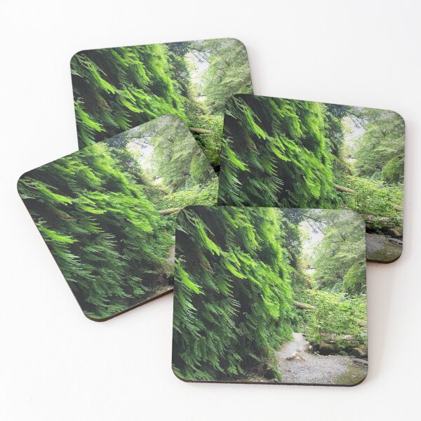 Item preview, Fern Cannon In The Redwoods, California designed and sold by tammyschroder.