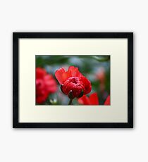 Precious Framed Print