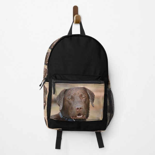 Item preview, Chocolate Labrador designed and sold by quentinjlang.