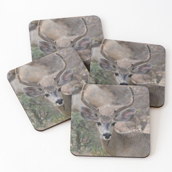 Item preview, Beautiful Young Buck designed and sold by MomentofPercep.