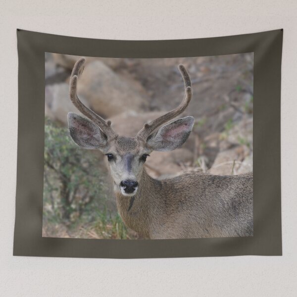 Item preview, Beautiful Young Buck designed and sold by MomentofPercep.